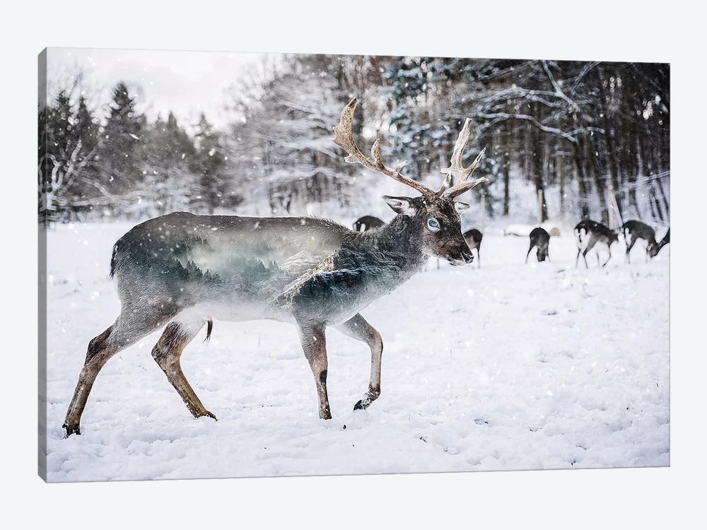 Winter Deer II by Paul Haag 1-piece Canvas Artwork