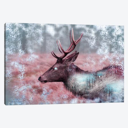 Winter Elk Canvas Print #PAH50} by Paul Haag Canvas Print