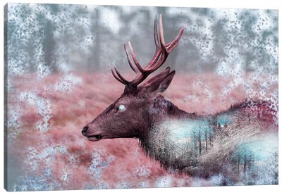 Winter Elk Canvas Art Print - Elk Art