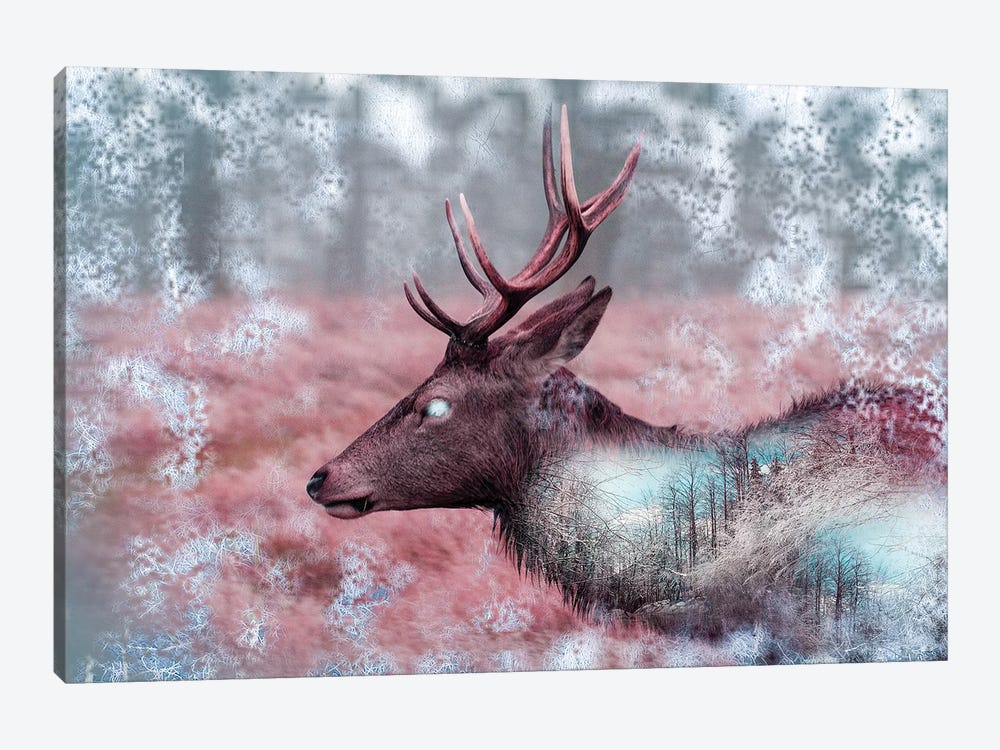 Winter Elk by Paul Haag 1-piece Canvas Art