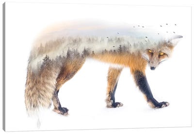 Nature Fox Canvas Art Print - Fox Art