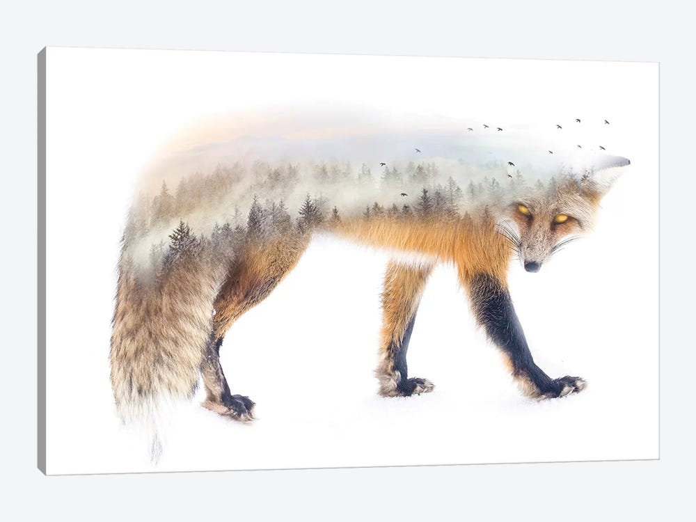 Nature Fox by Paul Haag 1-piece Canvas Art Print