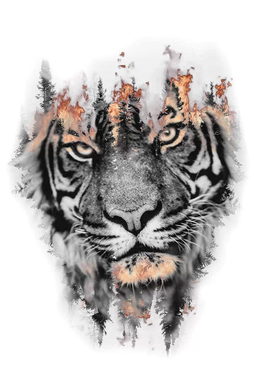 Burning Tiger by Paul Haag wall art