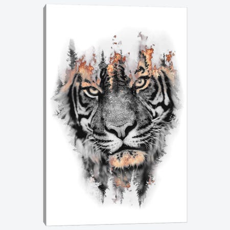 Burning Tiger Canvas Print #PAH53} by Paul Haag Art Print