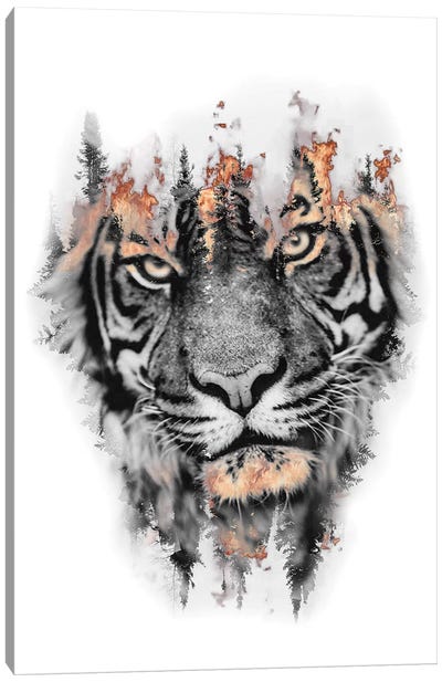Burning Tiger Canvas Art Print