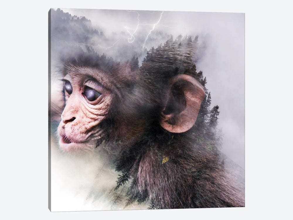 Monkey by Paul Haag 1-piece Canvas Print