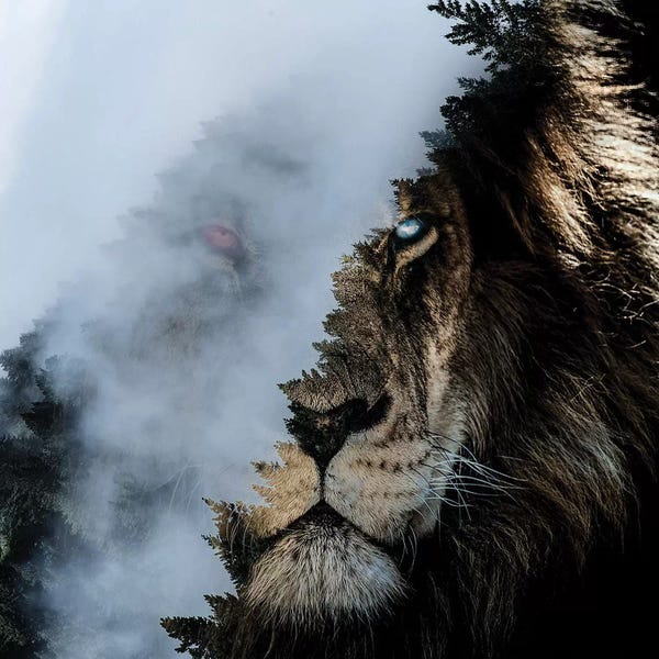 Paul Haag: Monster Lion by Paul Haag