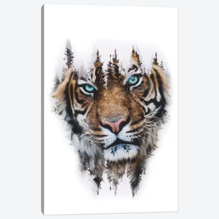 Whiteout Tiger Canvas Print #PAH59} by Paul Haag Canvas Art Print