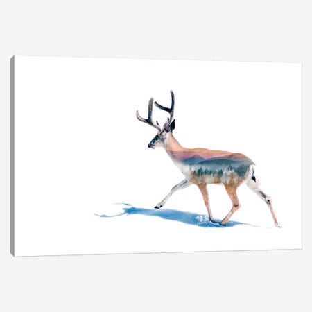 Winter Deer Canvas Print #PAH61} by Paul Haag Canvas Artwork