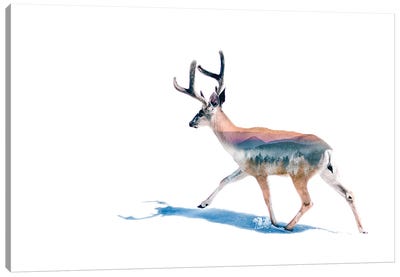Winter Deer Canvas Art Print - Paul Haag