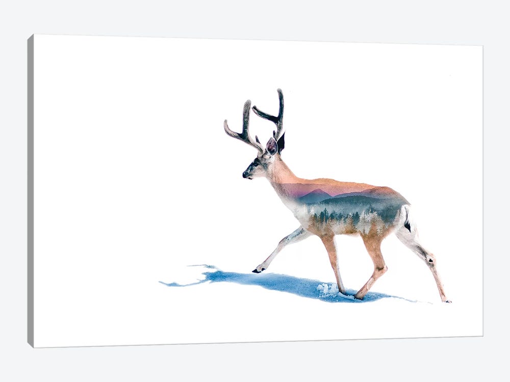 Winter Deer by Paul Haag 1-piece Canvas Wall Art