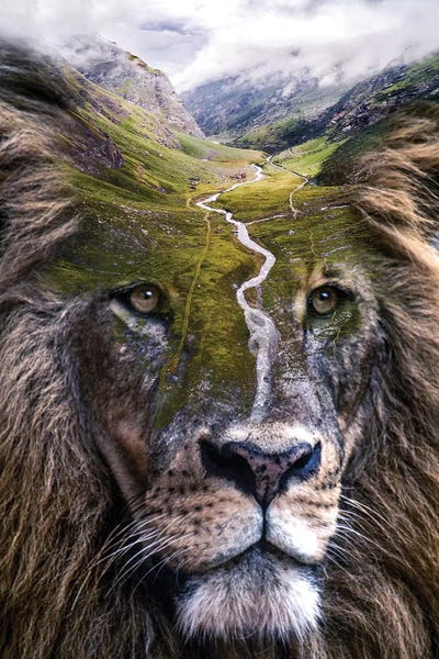 Through The Looking Glass: Hail the King by Paul Haag