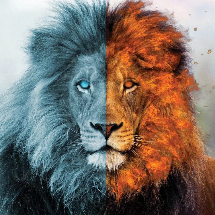 Aslan by Paul Haag wall art