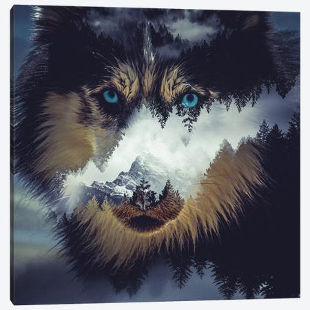 Dog Canvas Print #PAH6} by Paul Haag Canvas Art