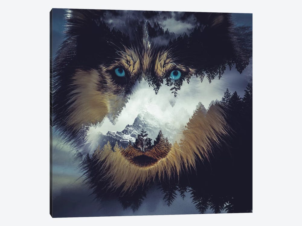 Dog by Paul Haag 1-piece Canvas Artwork