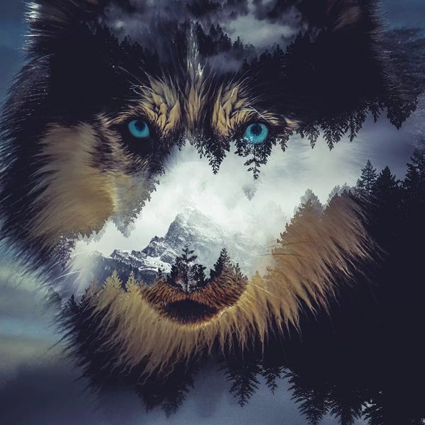 Paul Haag: Dog by Paul Haag