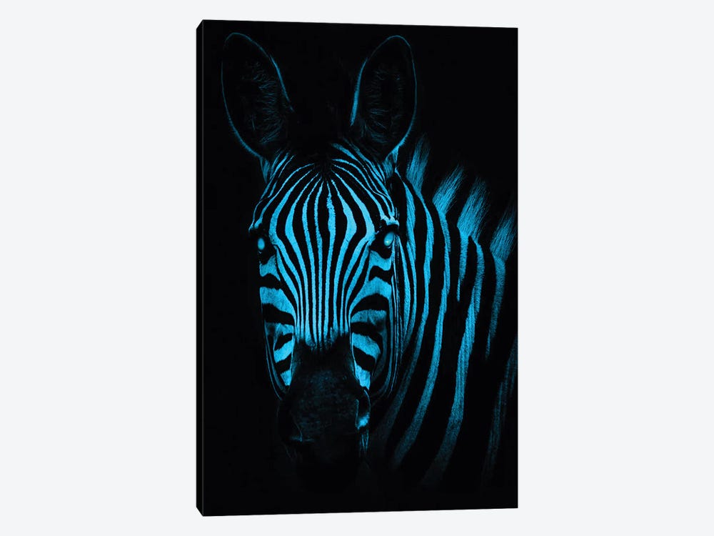 Cool Zebra by Paul Haag 1-piece Canvas Art Print