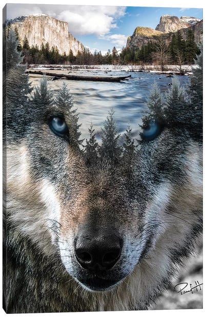Wolf Canvas Art Print - Through The Looking Glass