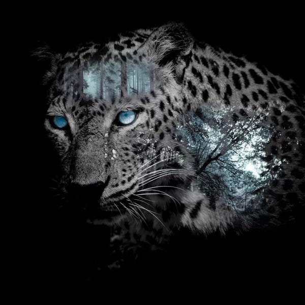 Paul Haag: Eerie by Paul Haag