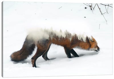 Winter Fox Canvas Art Print - Rustic Winter