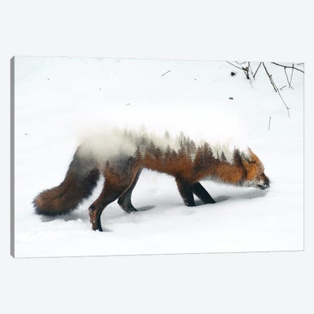 Winter Fox Canvas Print #PAH99} by Paul Haag Canvas Art Print