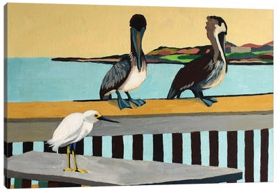 When Fish Fly Canvas Art Print - Pelican Art
