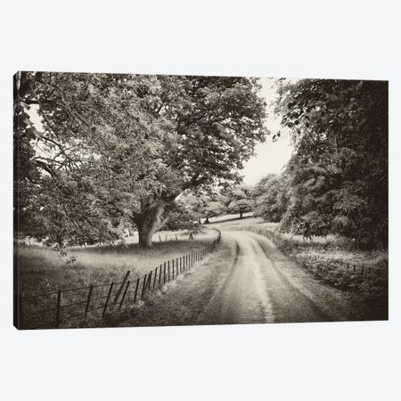 Country Roads Canvas Print #PAL1} by Janel Pahl Canvas Print