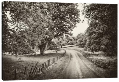 Country Roads Canvas Art Print