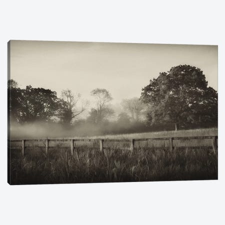 Foggy Day Canvas Print #PAL2} by Janel Pahl Art Print