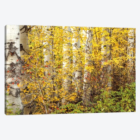 Hiding Canvas Print #PAL5} by Janel Pahl Canvas Wall Art