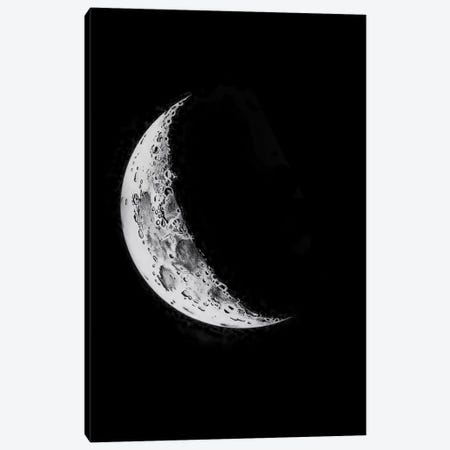 Phases Of The Moon I Canvas Print #PAT101} by PatentPrintStore Art Print