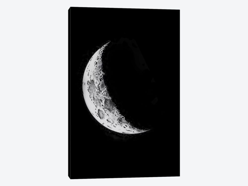 Phases Of The Moon I by PatentPrintStore 1-piece Canvas Art