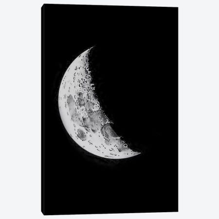 Phases Of The Moon II Canvas Print #PAT102} by PatentPrintStore Canvas Print
