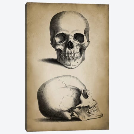 Skull Canvas Print #PAT114} by PatentPrintStore Canvas Print