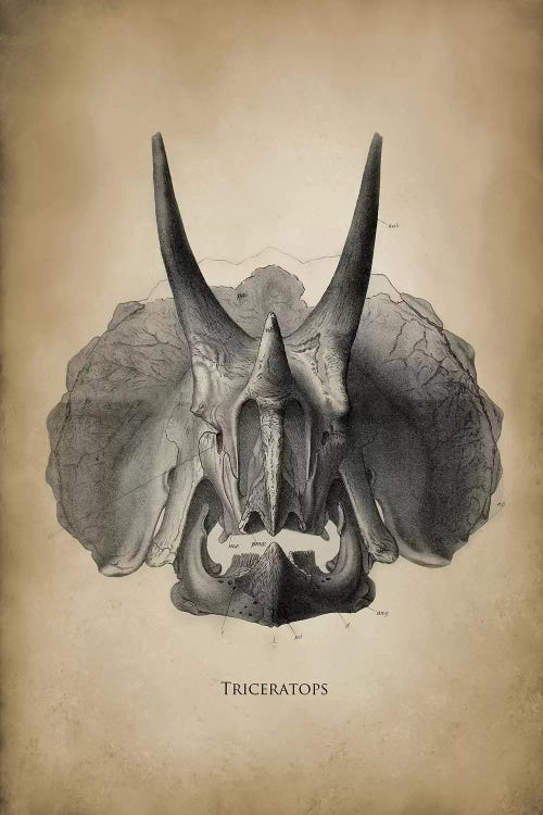 Triceratops by PatentPrintStore wall art