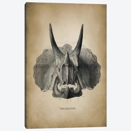 Triceratops Canvas Print #PAT137} by PatentPrintStore Canvas Art Print