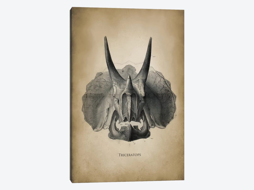 Triceratops by PatentPrintStore 1-piece Canvas Art Print