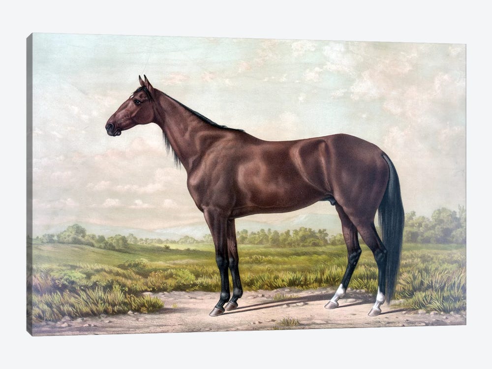 Horse I by PatentPrintStore 1-piece Art Print