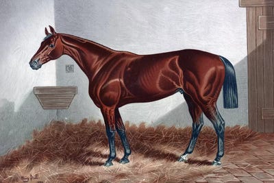 Horse II by PatentPrintStore framed wall art