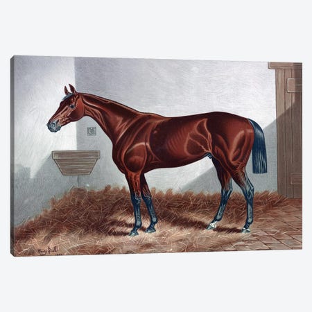 Horse II Canvas Print #PAT77} by PatentPrintStore Canvas Wall Art
