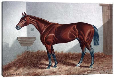 Horse II Canvas Art Print - PatentPrintStore