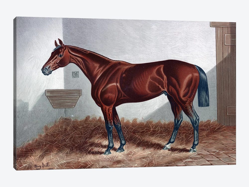 Horse II by PatentPrintStore 1-piece Canvas Art