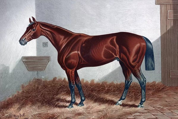 Horse II