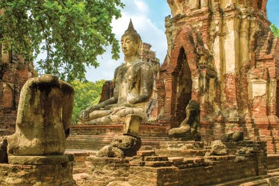 Ayutthaya Buddha by Mark Paulda framed wall art