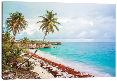 Bottom Bay Barbados Canvas Art Print - Barbados