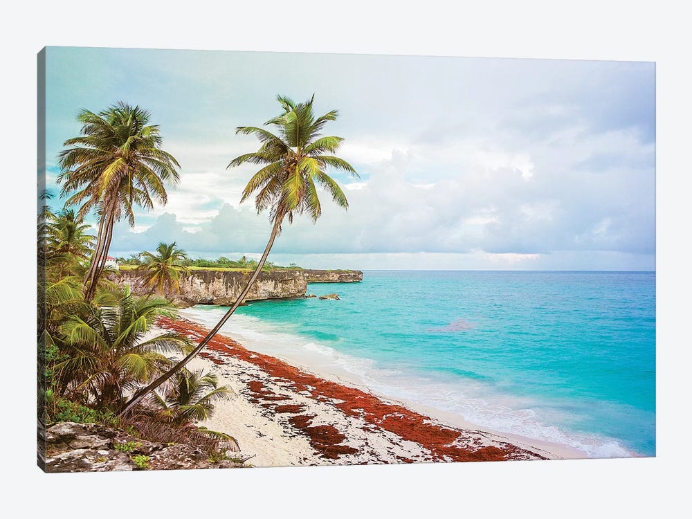 Bottom Bay Barbados by Mark Paulda 1-piece Canvas Artwork