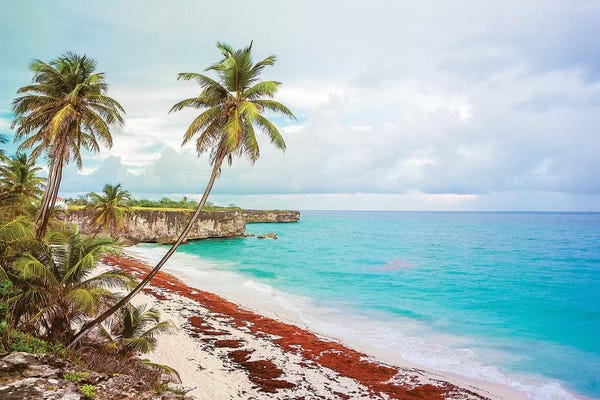 Barbados: Bottom Bay Barbados by Mark Paulda
