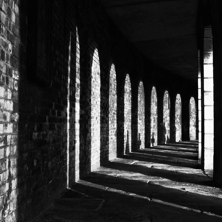 Brompton Shados by Mark Paulda wall art