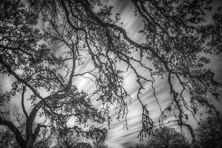 Clouds At Midnight by Mark Paulda wall art