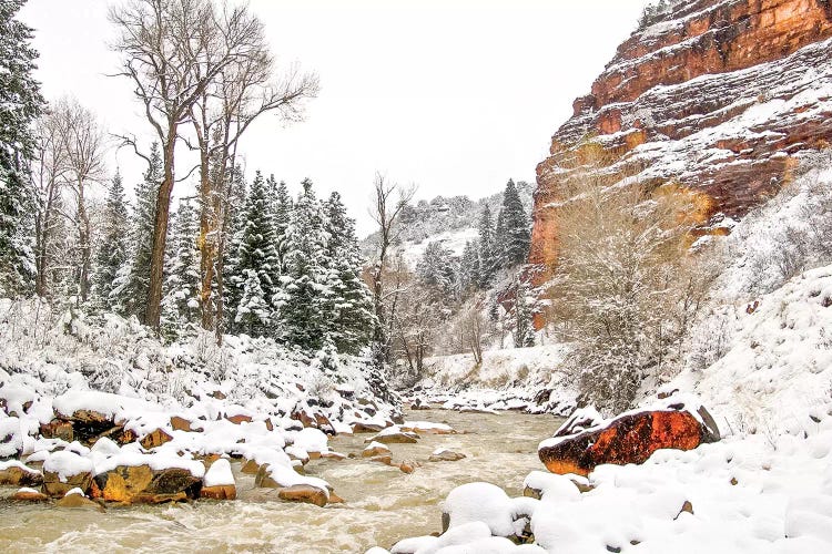 Colorado Cold by Mark Paulda wall art